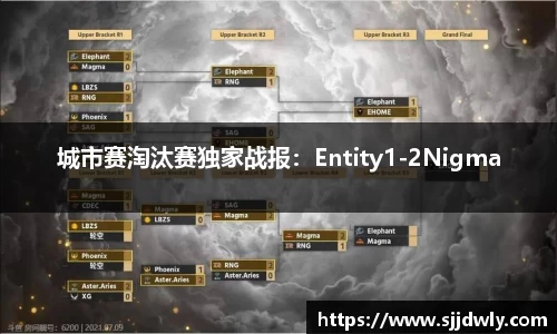 城市赛淘汰赛独家战报：Entity1-2Nigma